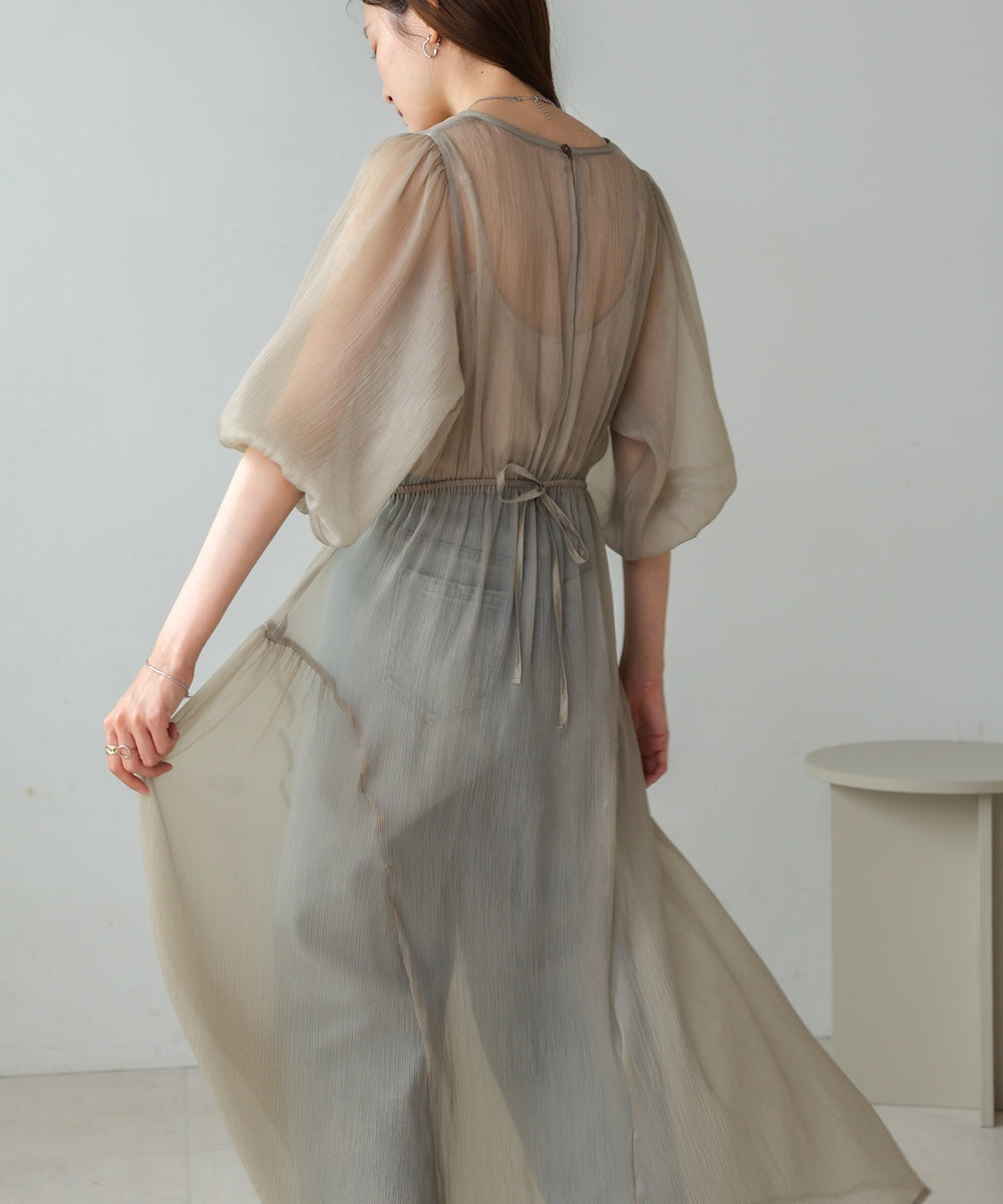 sheer volume sleeve onepiece