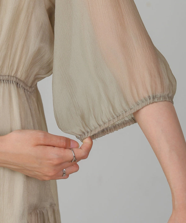 sheer volume sleeve onepiece