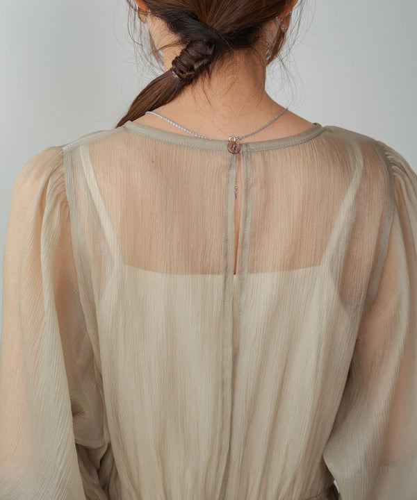 sheer volume sleeve onepiece