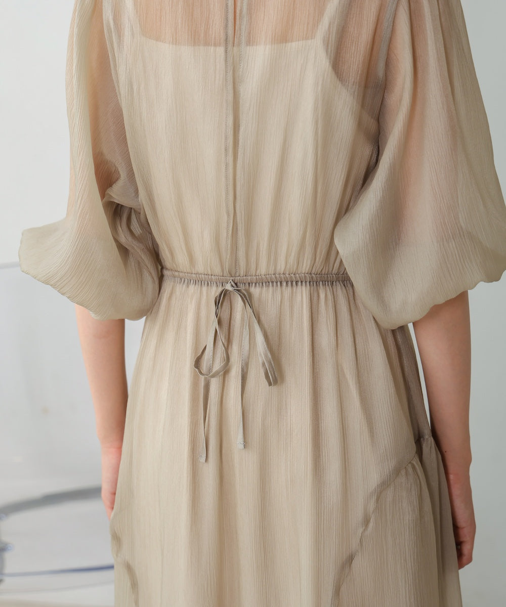sheer volume sleeve onepiece