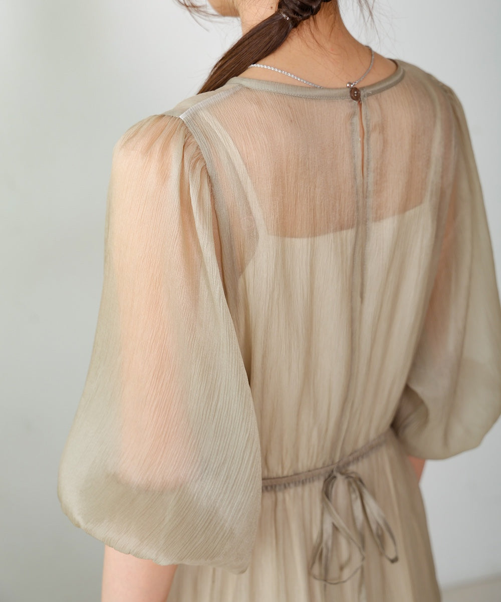 sheer volume sleeve onepiece