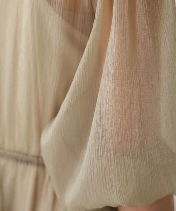 sheer volume sleeve onepiece