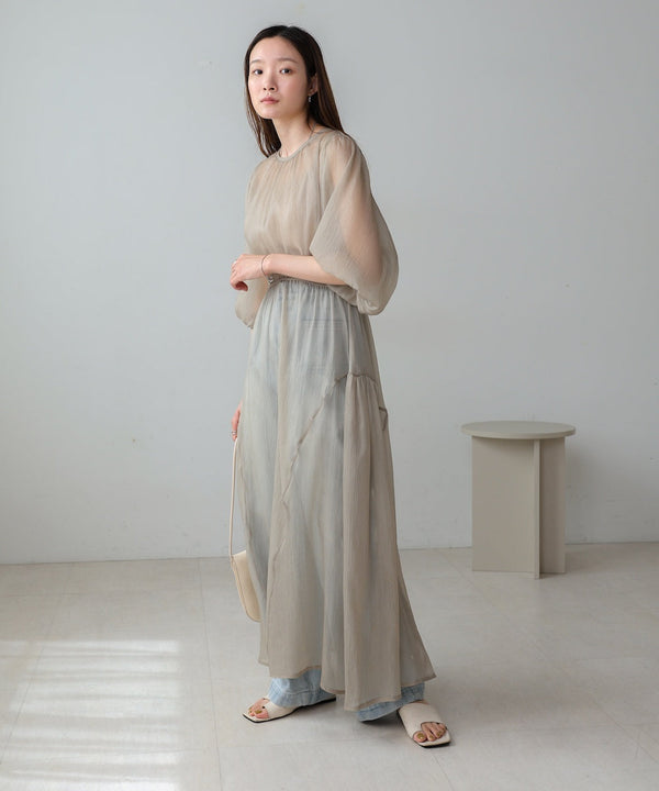 sheer volume sleeve onepiece