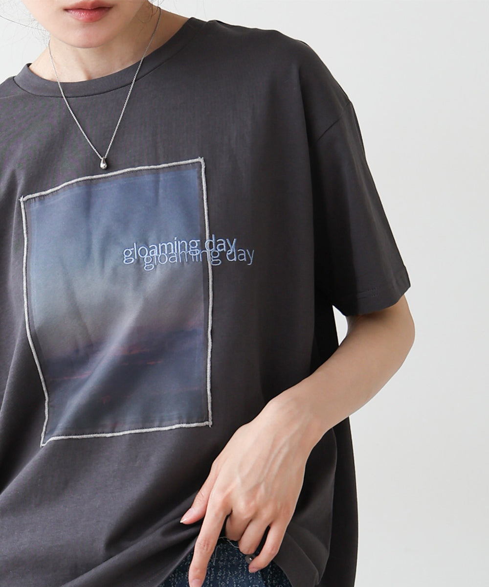 シアーレイヤードプリントＴシャツ