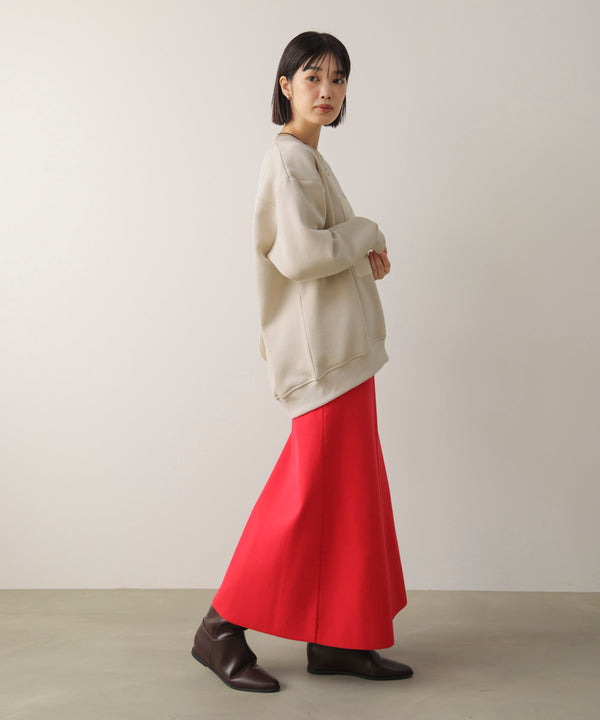 裏起毛アイロンロゴプルオーバー