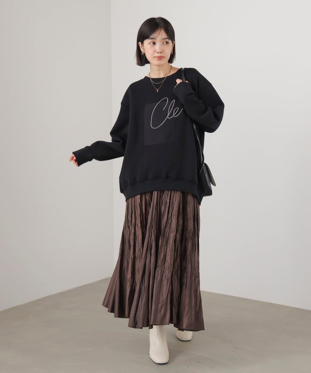 裏起毛アイロンロゴプルオーバー