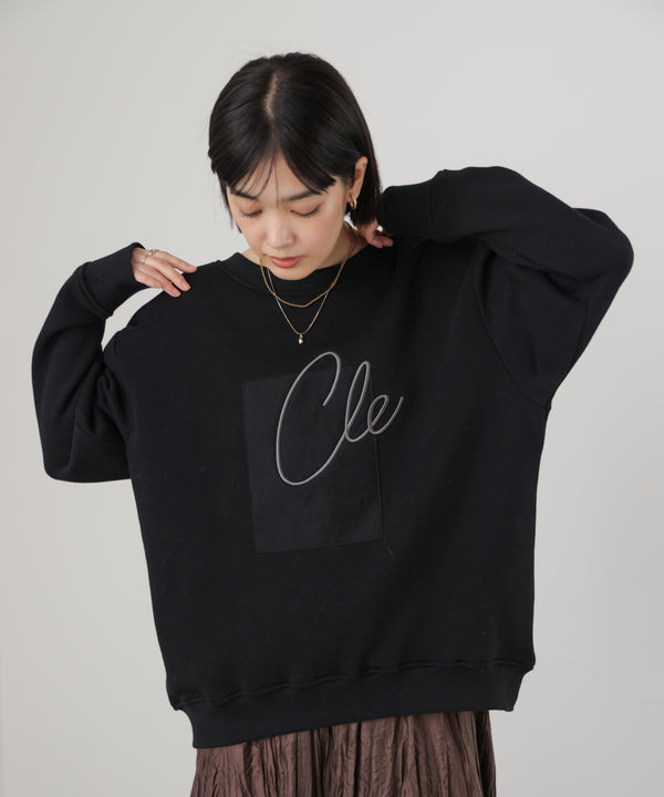 裏起毛アイロンロゴプルオーバー