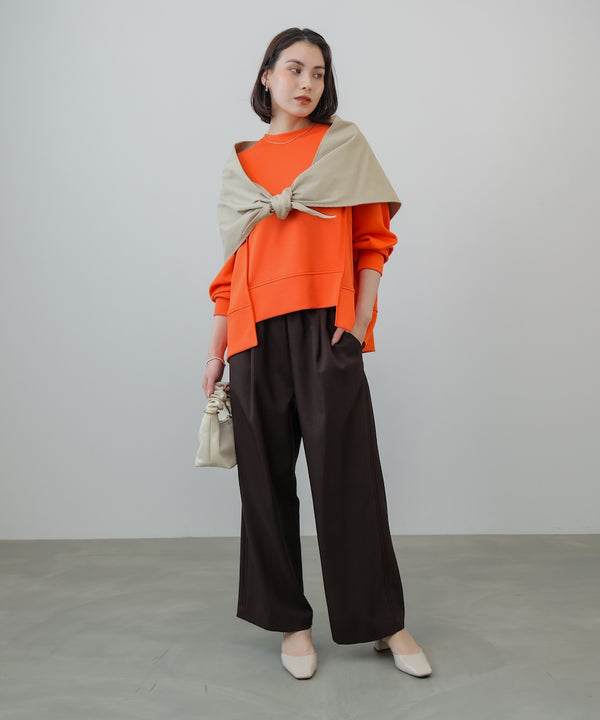 パウンドストレッチバックＺｉｐプルオーバー［2/6発送予定］