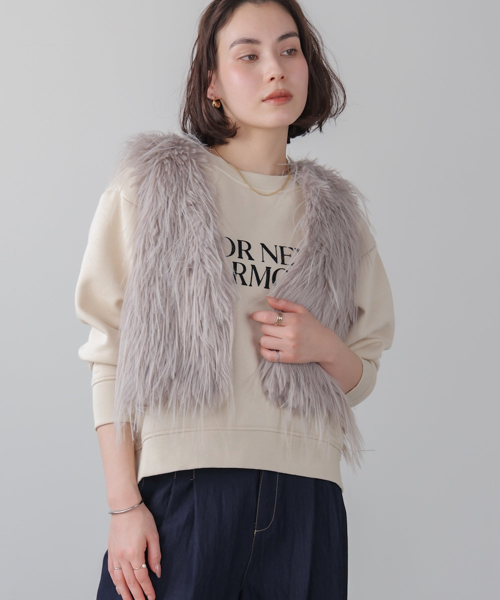 ショートファージレ