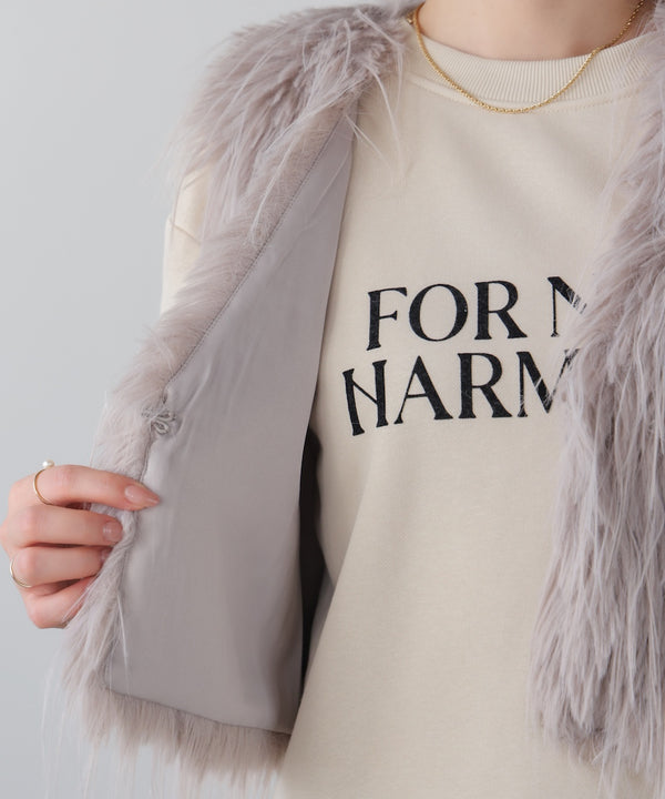 ショートファージレ